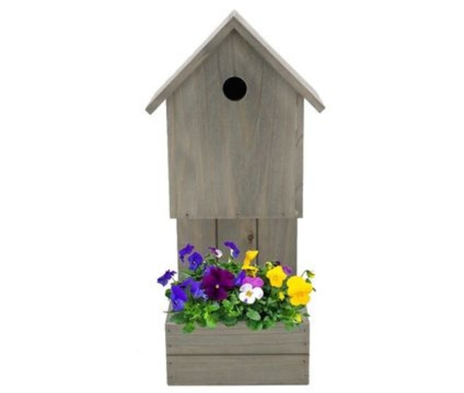 PENSEE CORNUTA NICHOIRE BOIS