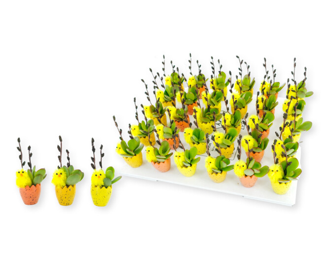 SUCCULENTE OEUF CERAM