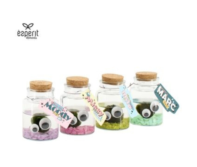 COMPO PLANTE AQUATIQUE BOCAL