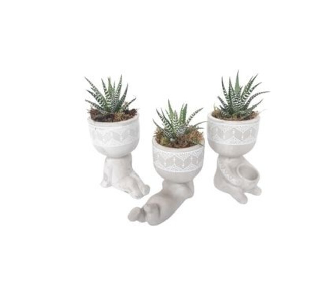 CACTUS HAWORTHIA CERAM PERSONNAGE