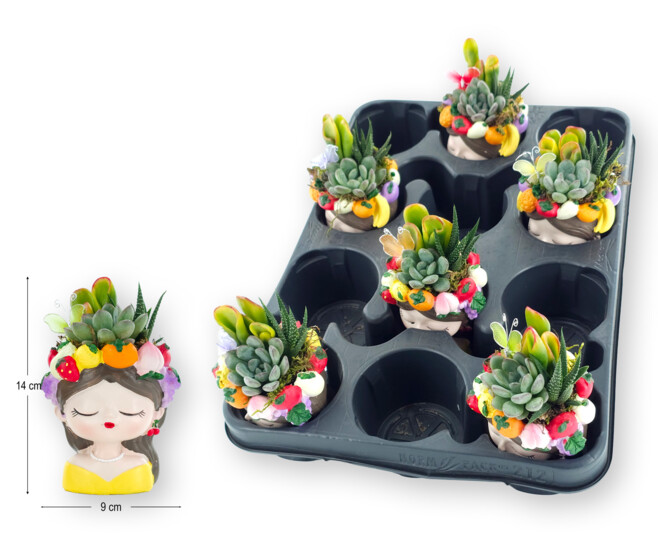SUCCULENTE CERAM PERSONNAGE FRUITE
