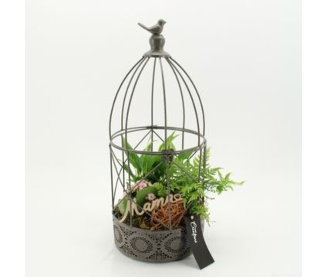 COMPO 3 PLANTES CAGE METAL