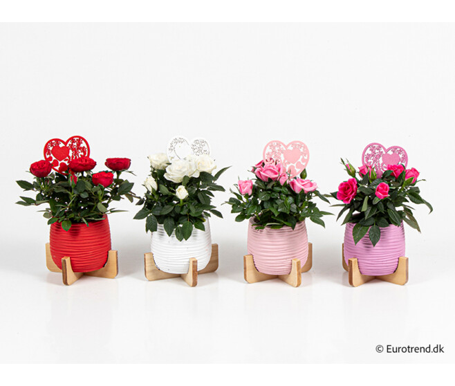 ROSIER CERAM DECO