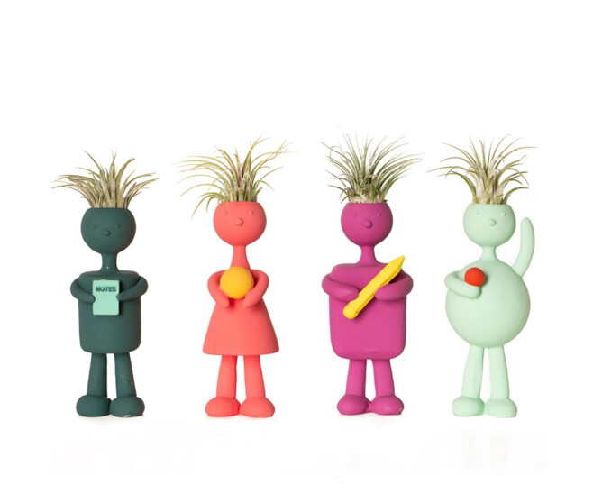 TILLANDSIA IONANTHA PERSONNAGE