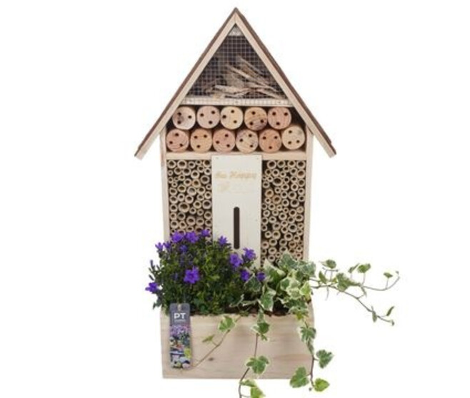 PLANTES EXT HOTEL INSECTE