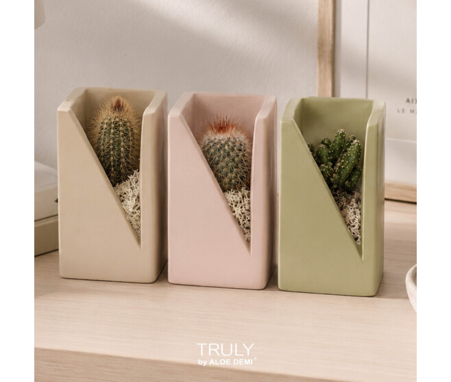 CACTUS VARIE CERAM