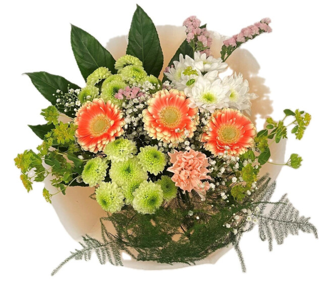 BOUQUET BARBOTINE M