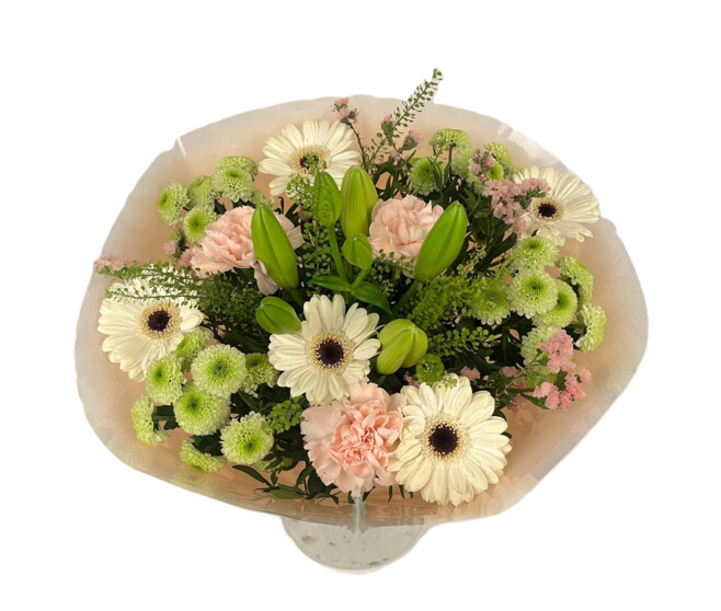 BOUQUET VOLTAGE SALMON