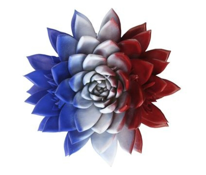 ECHEVERIA TEINTE FRANCE