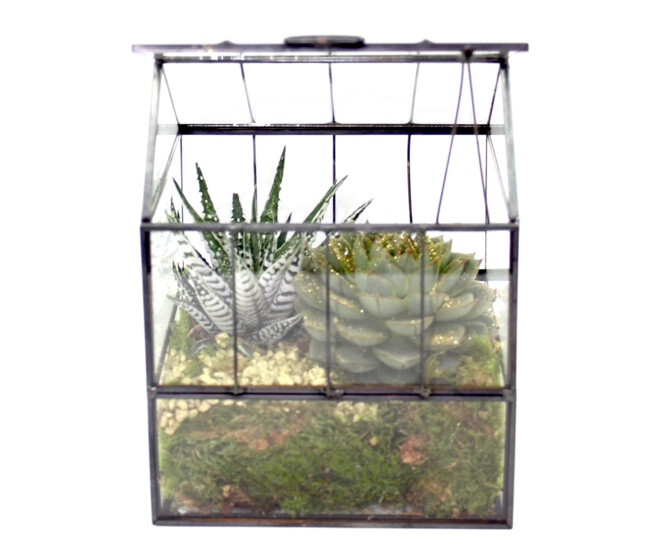 VERRERIE WILLOW 20