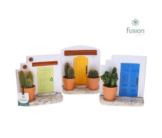 COMPO CACTUS CERAM