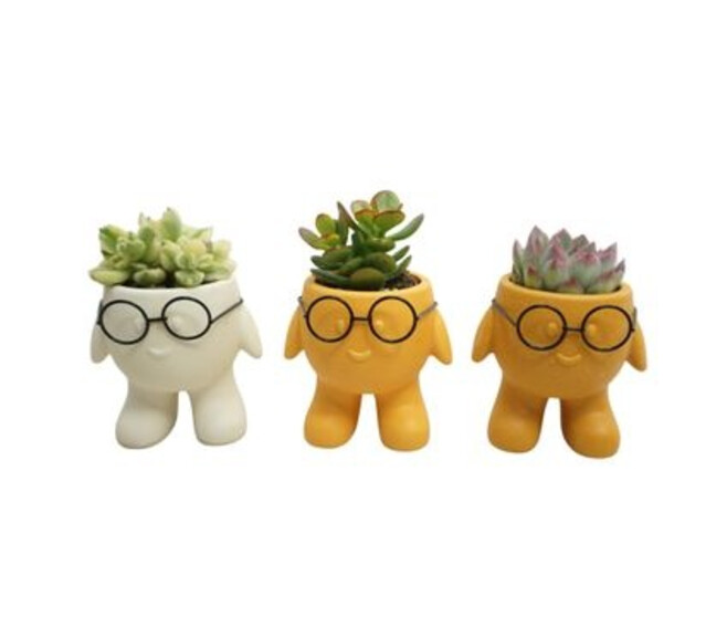 SUCCULENTE CERAM PERSONNAGE