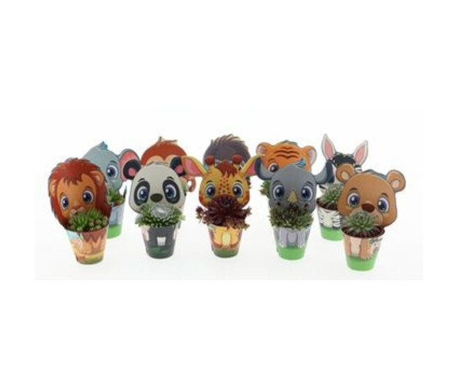 SEMPERVIVUM COVER POT ANIMAUX