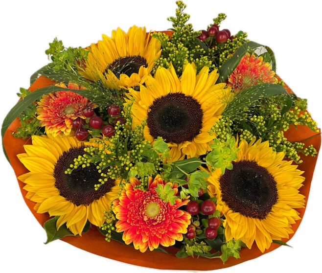 BOUQUET HELIANTHUS HOT 18 TIGES