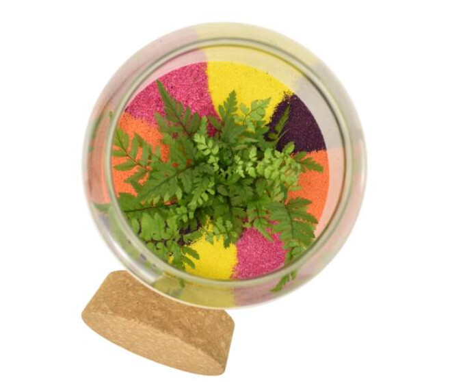 TERRARIUM CALAVERA 20