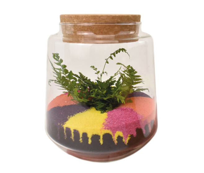 TERRARIUM CALAVERA 20