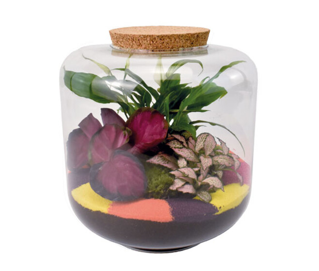 TERRARIUM LA CATRINA 20