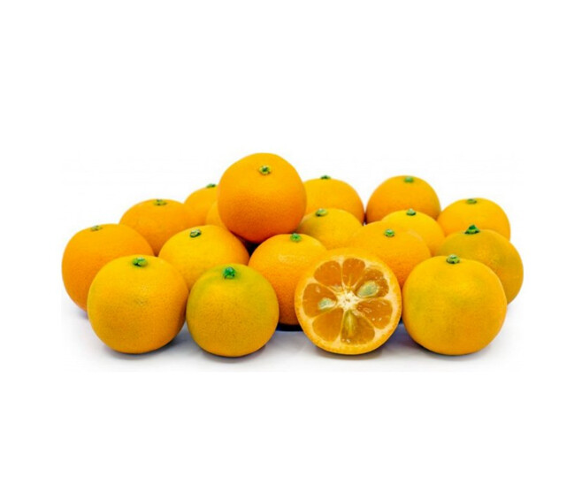 CALAMONDIN 1/2TIGE