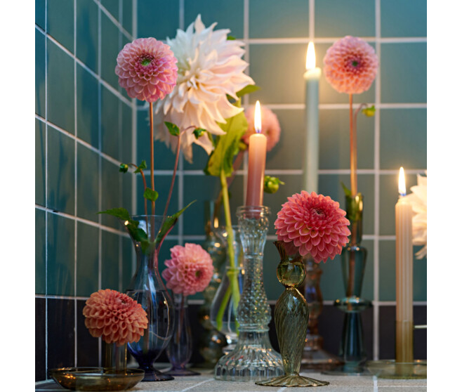 DAHLIA