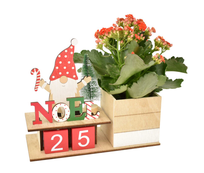 CALENDRIER DE L AVENT