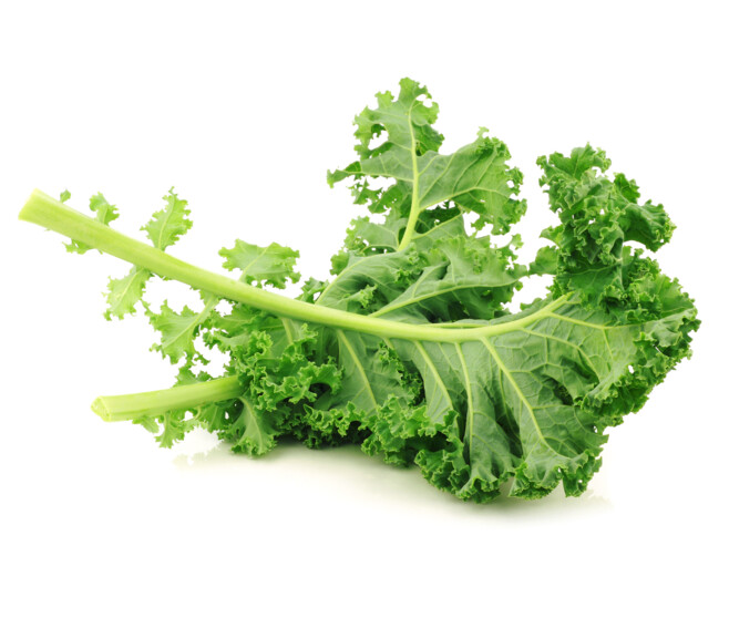 CHOU FRISE KALE WINTERBOR BQ12