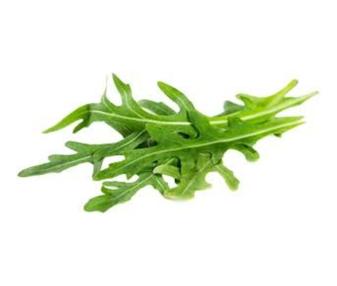 ROQUETTE SAUVAGE MALIKA BQ24