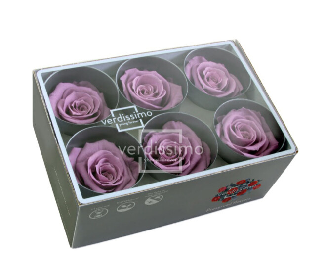 ROSES STABILISEES LILAS CLAIR x6