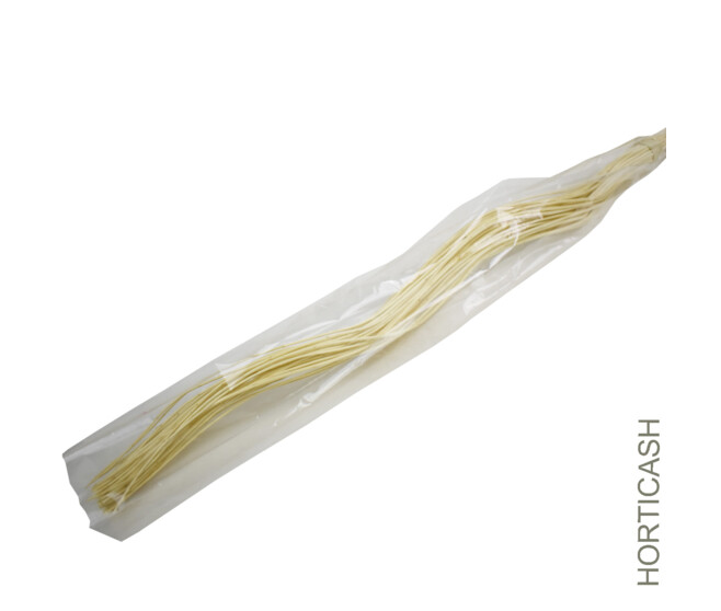 WEIDEN TWISTED 110CM 40P BLANC x40