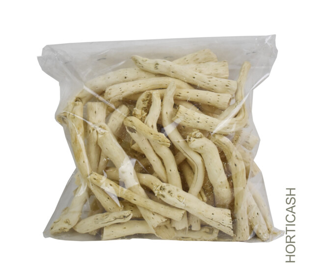 PEPE CONE 300G BLANCHI