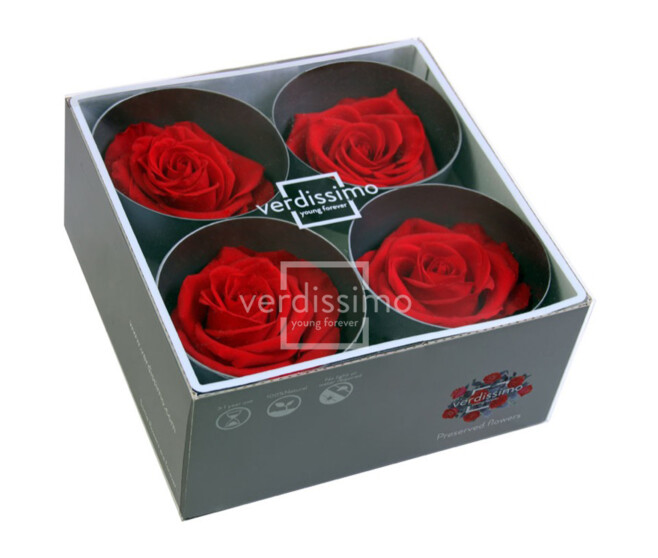 ROSES STABILISEES PREMIUM ROUGE x4