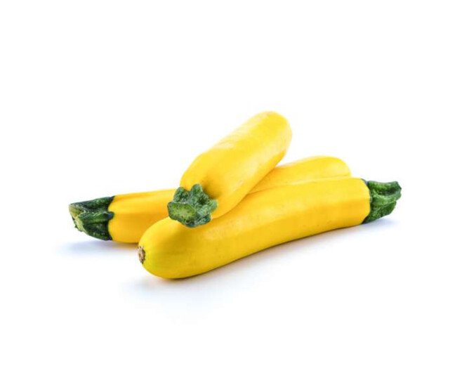 COURGETTE JAUNE LINGODOR
