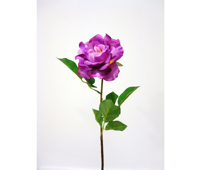 ROSE OUVERTE X1 MAUVE
