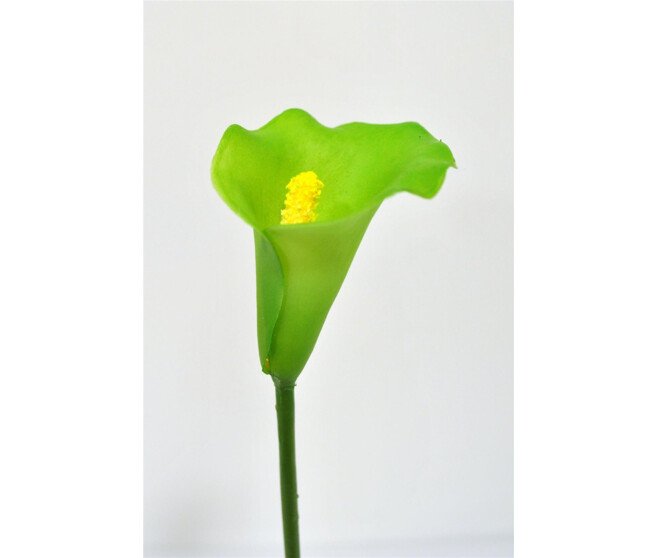PLAS CALLA X1 VERT PALE