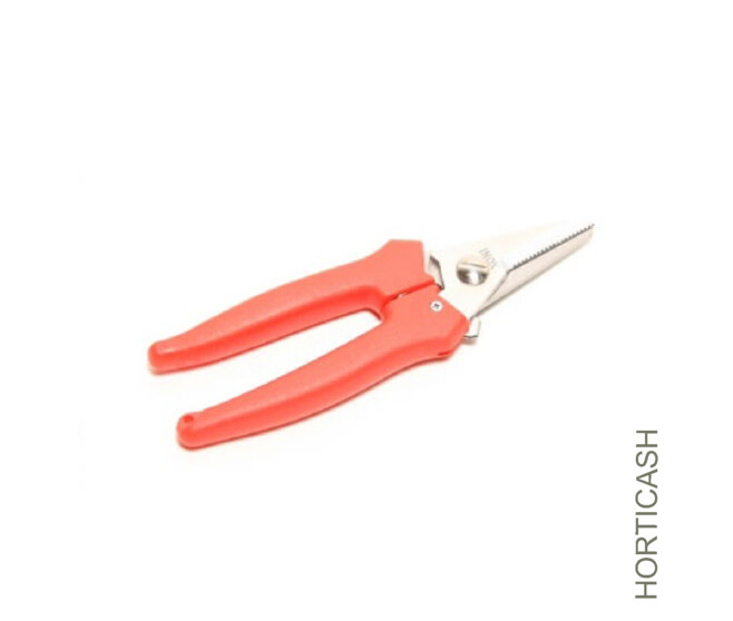 COUPE TOUT H15CM