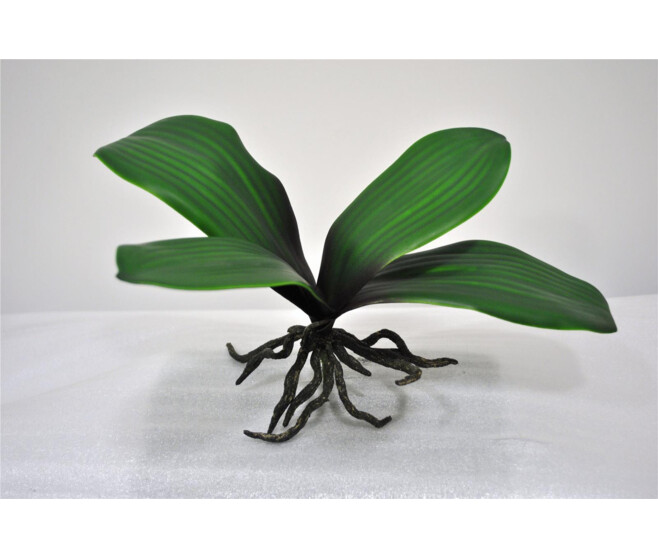 FEUILLE ORCHIDEE X4 GM VERT