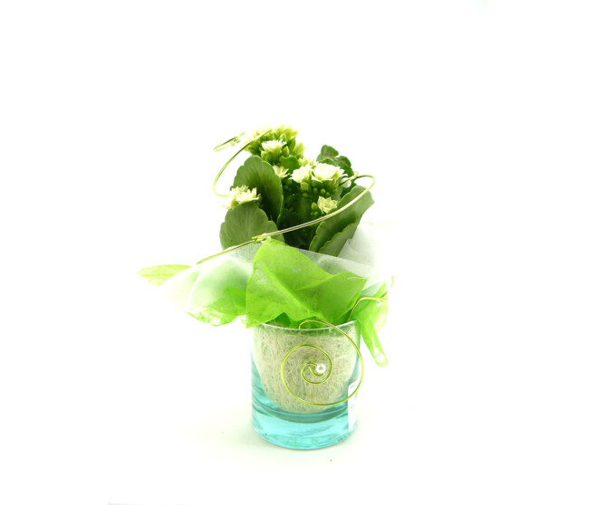 FIL ALU PLAT A/RAYURES 5MM 100G VERT POMME