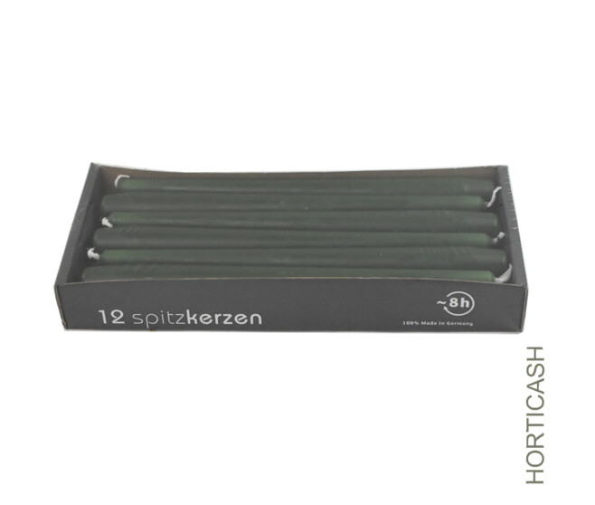 BOUGIE FLAMBEAU 25CM VERT FONCE x12
