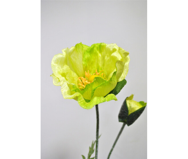 PAVOT GM X2 LIME