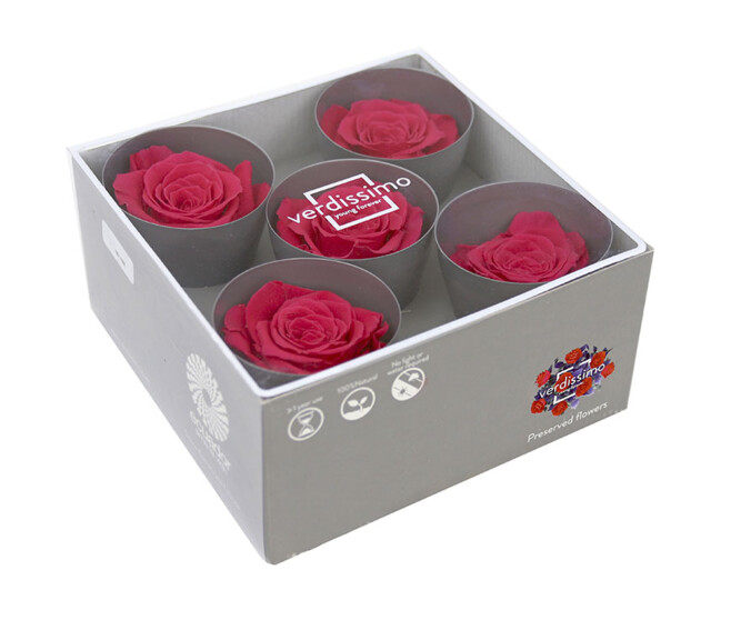 ROSES QUEEN STABILISEES ROSE FONCE x5