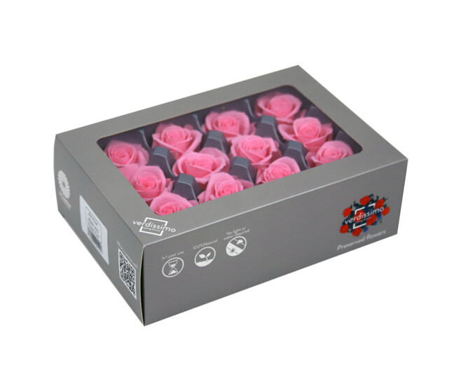 ROSES MINI 12 TETES ROSE PASTEL