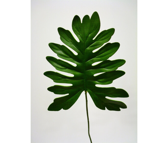 POLY FEUILLE PHILO GM VERT