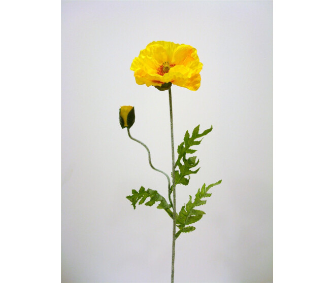 PAVOT MM X2 JAUNE