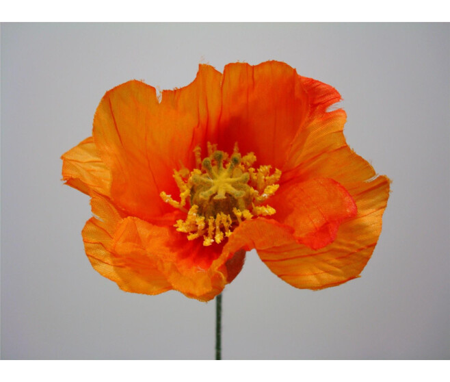PAVOT PM X2 ORANGE