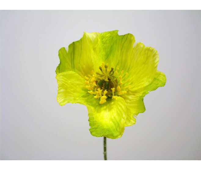 PAVOT PM X2 VERT
