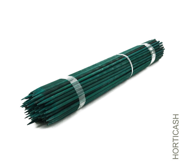 TUTEUR BOIS 60CM VERT x100