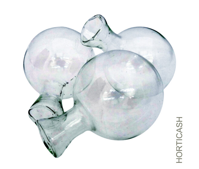 S/35 VASES VERRE DECO 66MM TRANSPARENTS x35
