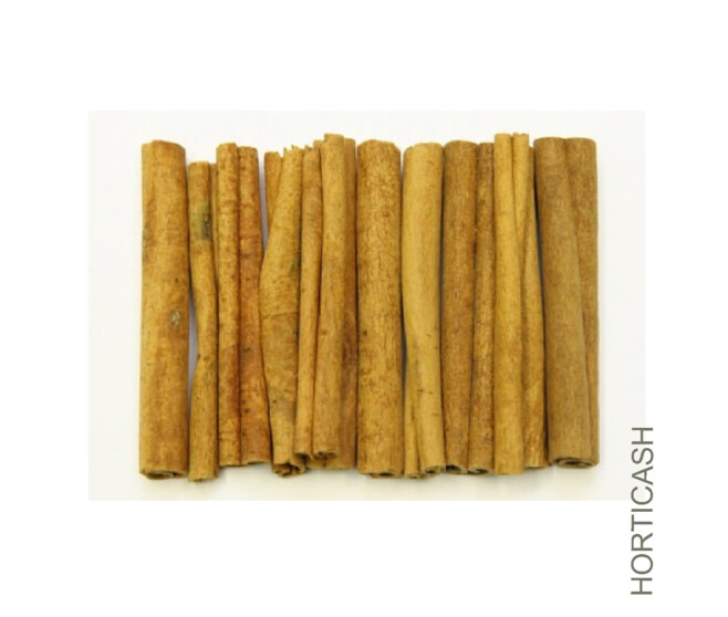 CANNELLE 8CM 60GR