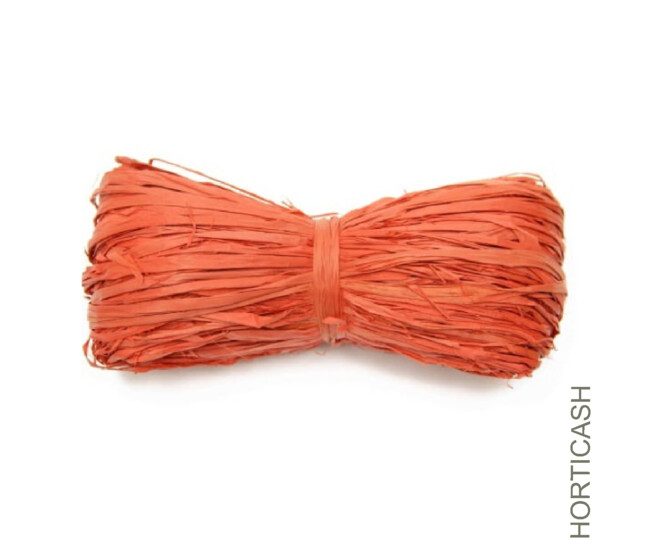 RAPHIA 50GR ROUGE