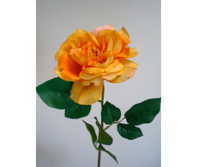 ROSE OUVERTE X1 ORANGE