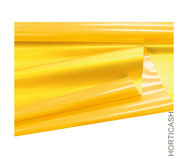 CLAYRANE RIVERS 0.80X40M JAUNE